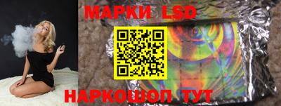 гидропоника Новозыбков
