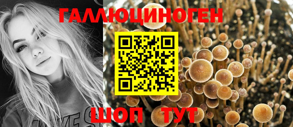Псилоцибиновые грибы мухоморы  Вход с VPN  Тамбов  Псилоцибиновые грибы Cubensis 